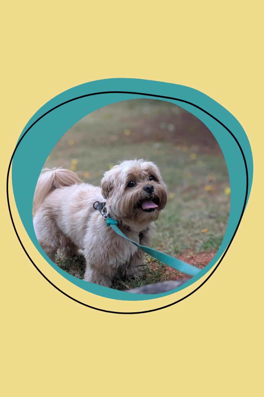 Hospedagem confortável