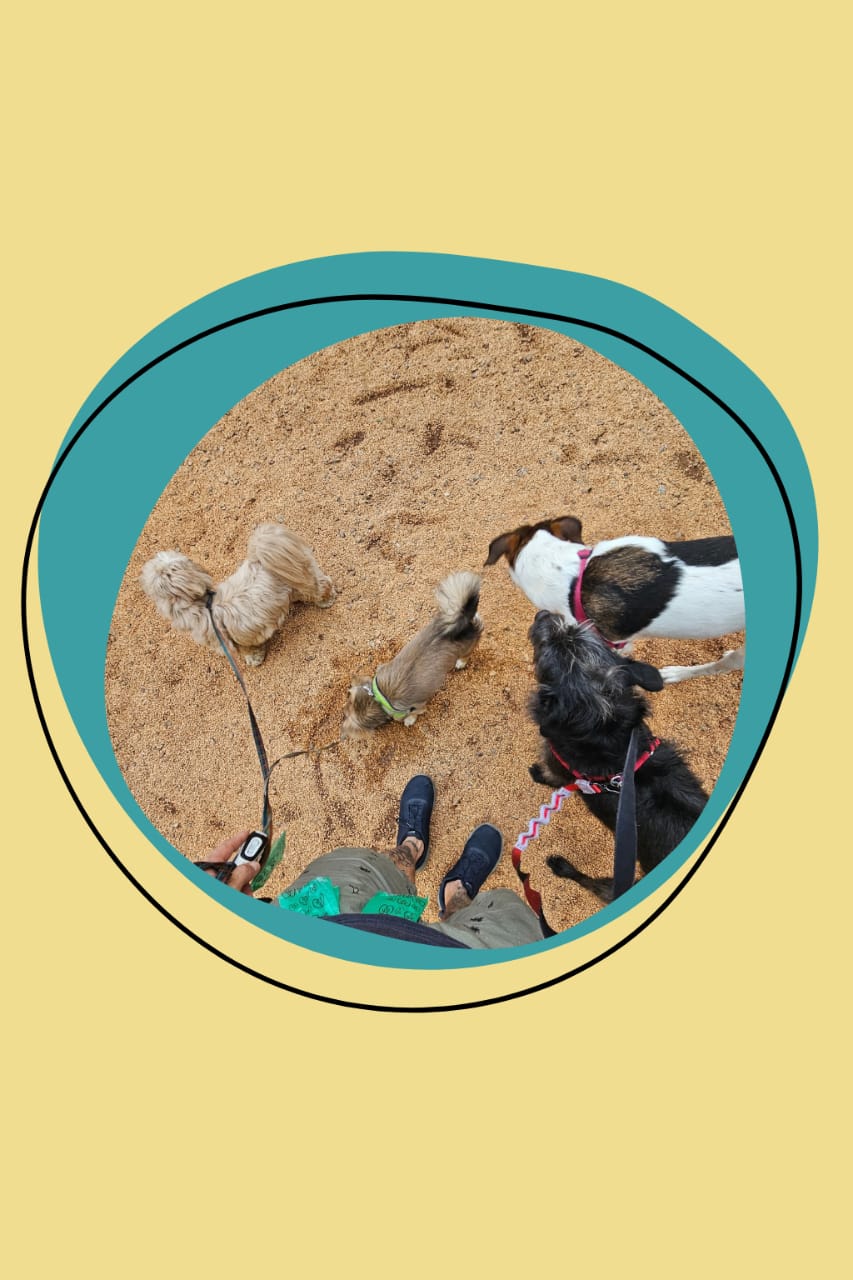 Carinho e segurança